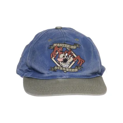Honkbalpet (Blauw, Grijs, Meerkleurig) van Looney Tunes