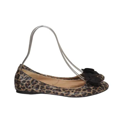 Ballet flats (Brown, Black, Multicolored) from Jane Norman