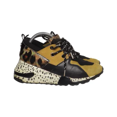 Sneaker (Schwarz, Beige, Mehrfarbig) von Steve Madden