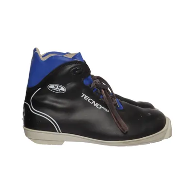 Ski boots (Black, Blue) from Tecno Pro