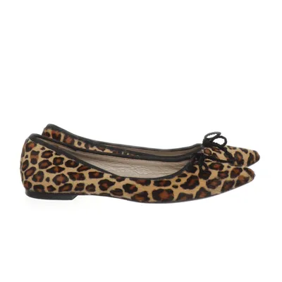 Ballerinaskor (Brun) från Scarosso Skinn