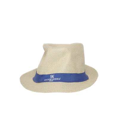 Fedora hat (Beige, Blue) from Waldorf