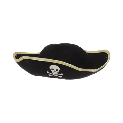 Accessoires de déguisement (Noir)