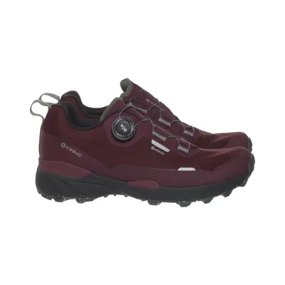 Wandelschoenen (Rover 2 W Rb9x Gtx) van Icebug Gore-Tex