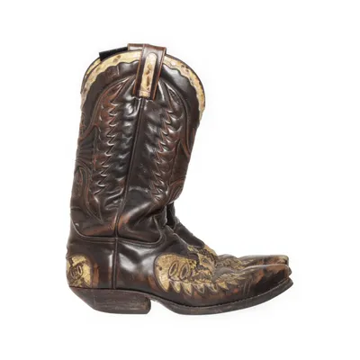 Cowboy boots (Brown, Beige) from Sendra Boots