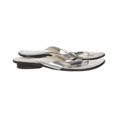Flip-flops (Silver) from IDA