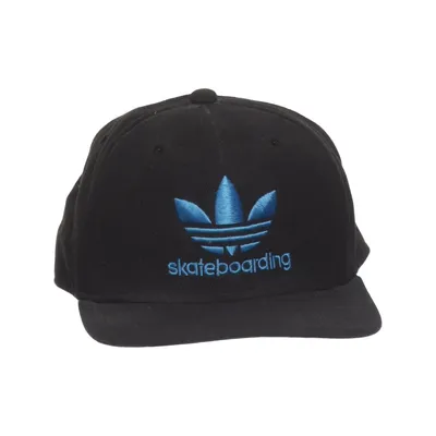 Baseball cap (Black, Blue) from Adidas Skateboarding Acrylic, Cotton, Wool