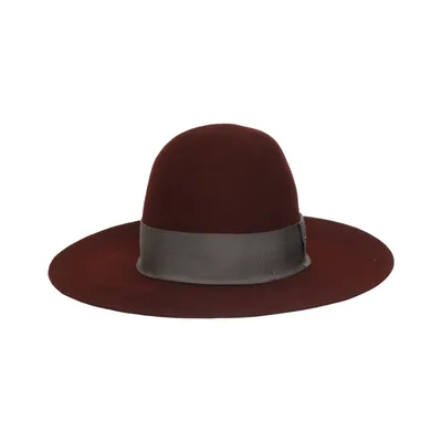 Vilten hoed (Rood) van Stetson Wol