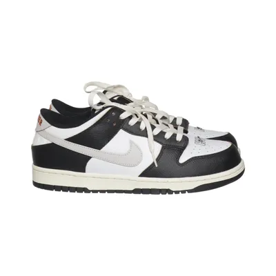 Träningsskor (Dunk Low) från Nike SB Skinn