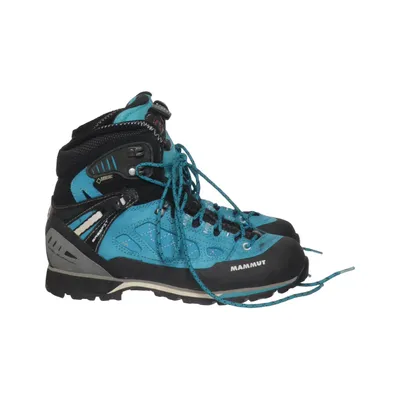 Hiking boots (Alto High Gtx) from Raichle Leather