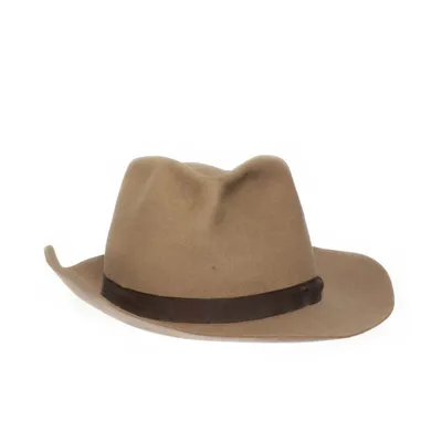 Felt hat (Brown)