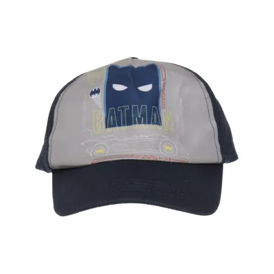 Casquette de baseball (Bleu, Gris, Multicolore) de DC Comics Coton, Polyester