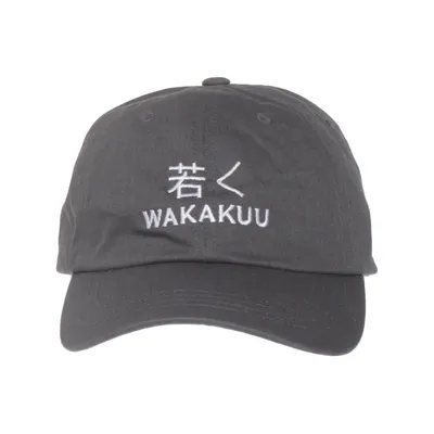 Casquette de baseball (Gris) de Wakakuu Coton