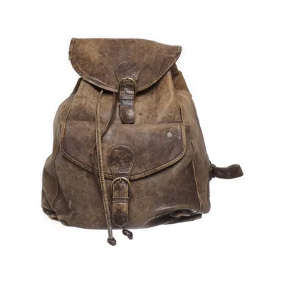 Backpack (Brown) from Harrods