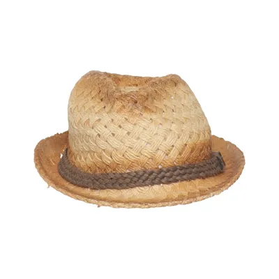 Fedora hoed (Beige, Bruin) van True Religion