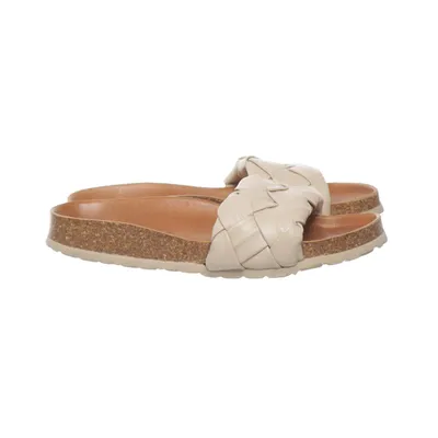 Slip-ins (Brown) from Verbenas