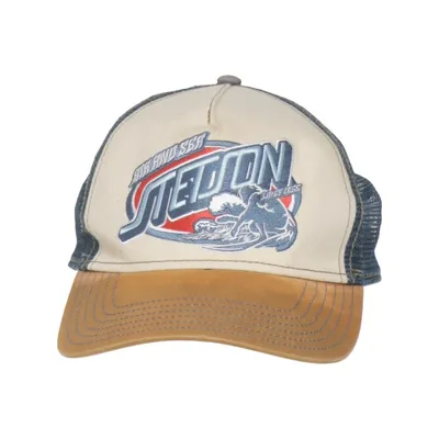 Trucker pet (Beige, Blauw, Meerkleurig) van Stetson