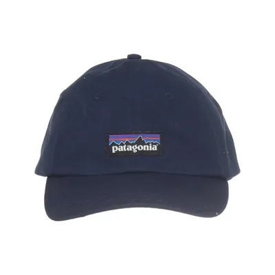 Baseball cap (Blue) from Patagonia Organic cotton