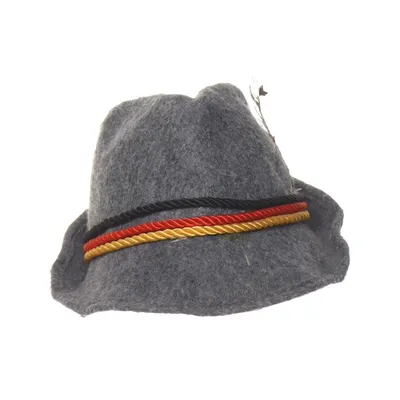 Felt hat (Gray, Multicolored)