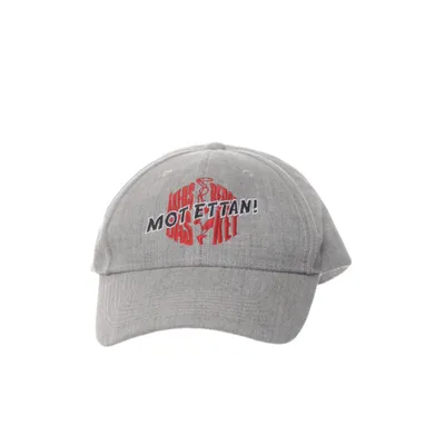 Baseball cap (Gray) from Trend Eagle Polyester, Wool