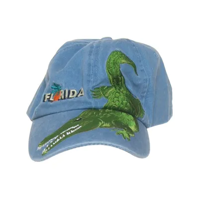 Honkbalpet (Twillsport Cap) van DISTINCTIVE HEADWEAR