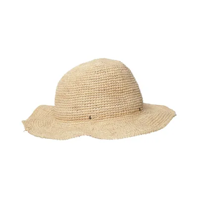 Solhatt (Celery Hat) från Barts