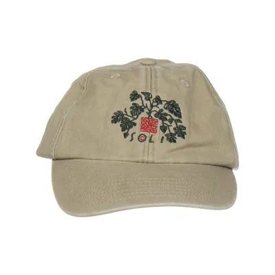 Baseballkasket (Beige) fra Beechfield Bomuld