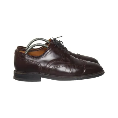 Brogue (Bruin) van Morjas