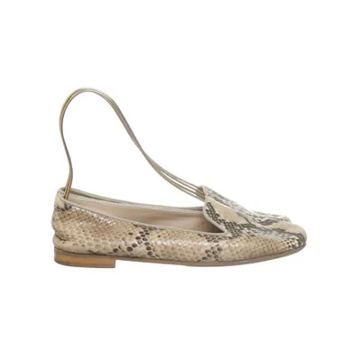 Loafers (Brown, Multicolored) from Alberville