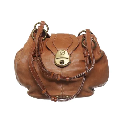Handbag (Brown) from Francesco Biasia
