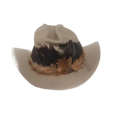 Chapeau de cowboy (4x Beaver) de Stetson