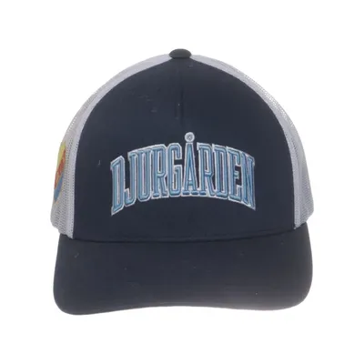 Truckerkeps (Blå, Vit, Flerfärgad) från CCM Bomull, Polyester