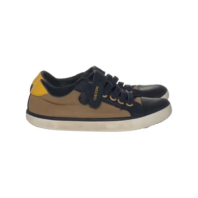 Chaussons de gymnastique (Marron, Bleu) de Geox