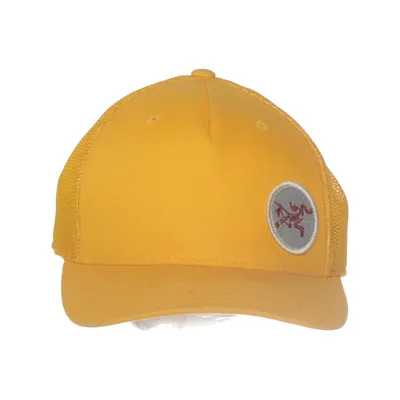 Trucker cap (One Ten Flexfit Tech) from Arc'teryx Cotton, Elastane, Polyester