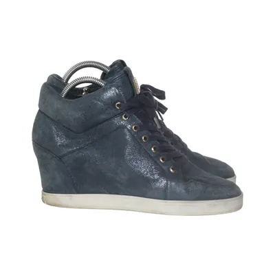 Wedges (Blue) from Högl