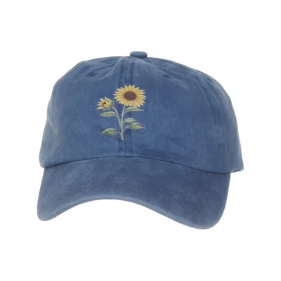 Baseball cap (Blue)