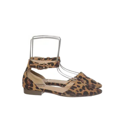 Ballet flats (Brown, Black) from Raid