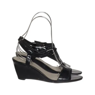 Wedges (Black) from Predictions