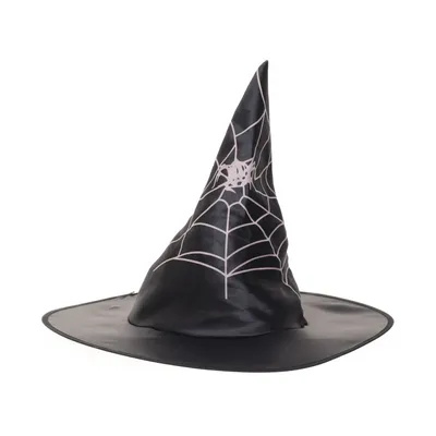 Kostuum accessoires (Häxhatt )