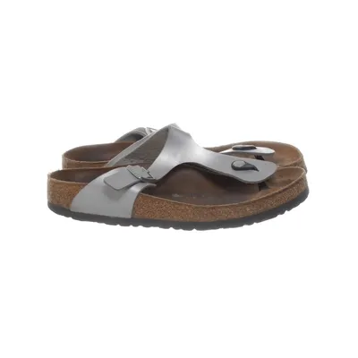 Slip-ins (Silver, Brown) from Birkenstock
