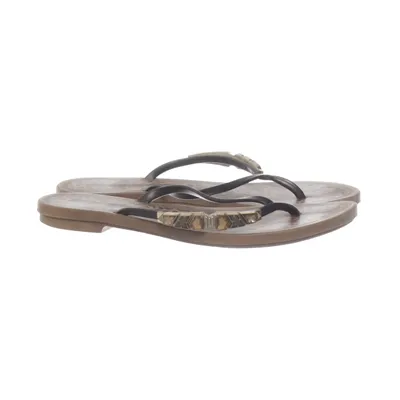 Flip-flops (Brown, Black) from Grendha