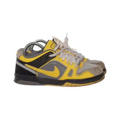 Baskets (366632-010) de Nike SB