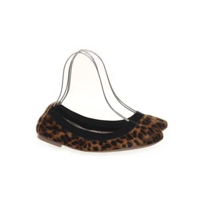 Ballerinaskor (Brun, Flerfärgad) från Boden