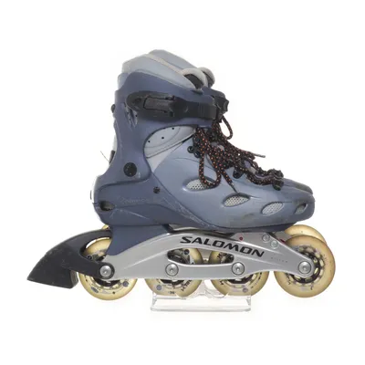 Inlines (Gray, Blue) from Salomon
