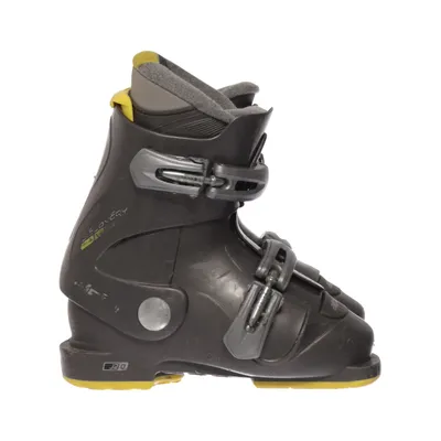 Ski boots (Gray, Yellow) from Alpina
