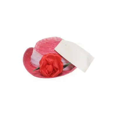 Maskeradtillbehör (Rosa)