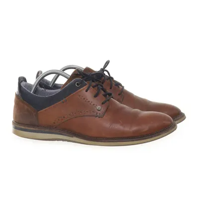 Brogue (Bruin) van Bullboxer