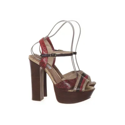 Sandaletter (Beige, Röd, Flerfärgad) från Steve Madden