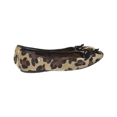 Ballerina's (Bruin, Zwart) van Spicy