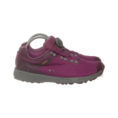 Wandelschoenen (Dts3 W Rb9x Gtx) van Icebug Gore-Tex